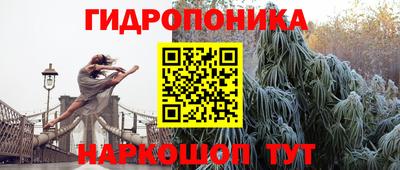 a pvp Дубна