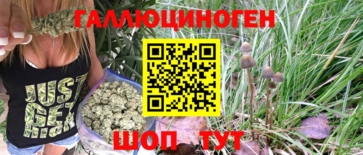 Саянск  Галлюциногенные грибы Psilocybe  Псилоцибиновые грибы мицелий  Вход с VPN 